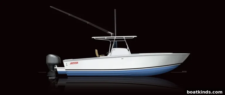 Jupiter 31 Review: Full Specs, Features and Performance