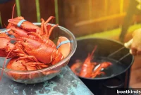 Sea Stories: March 2022 Ocean Tales and Updates