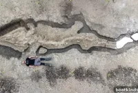 Giant Prehistoric Sea Dragon Fossil Unearthed in Britain