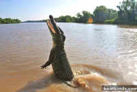 Men Survive Crocodile Attack and Dehydration After Boat Sinks