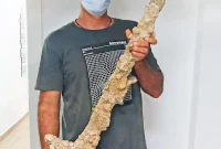 Diver Discovers Ancient Crusader Sword Underwater