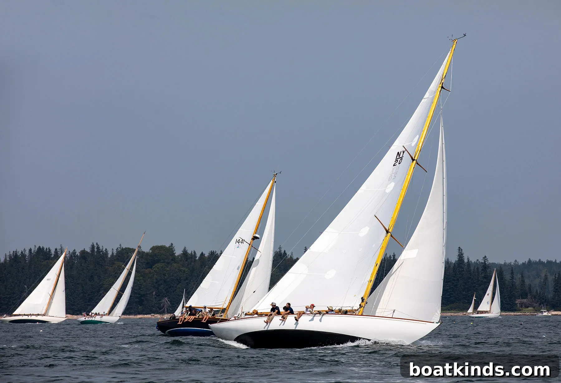 Sailboat Racing's Woodstock: Inside an Iconic Regatta 3 img 5522 2