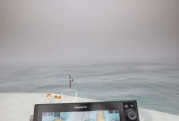 How to Navigate the Murk and Fog to Find Clarity