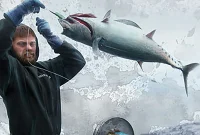 Sea Stories: November 2021 Highlights
