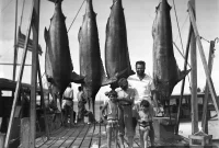 Big-Game Fishing with Dad: Offshore Charter Adventure