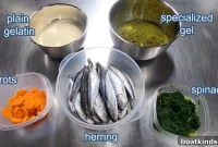 Behind the Scenes: How Aquariums Feed Fish