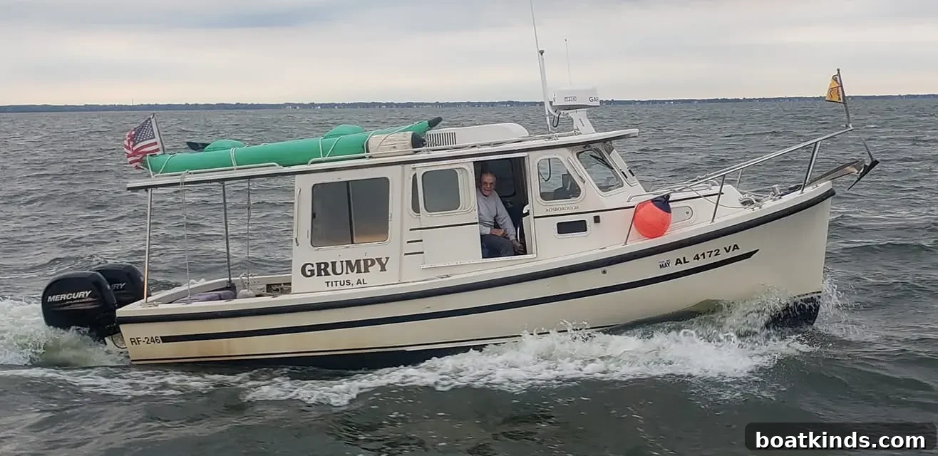 Grumpy, a Rosborough RF-246