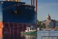 Inside Tugboat Operations: How Tugs Move Big Vessels