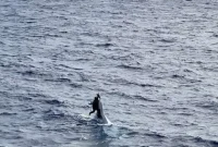 Florida Boater Rescued After Clinging to Sinking Boat