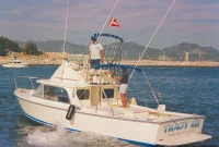 Bertram 31: Inside the Legend of a Classic Yacht