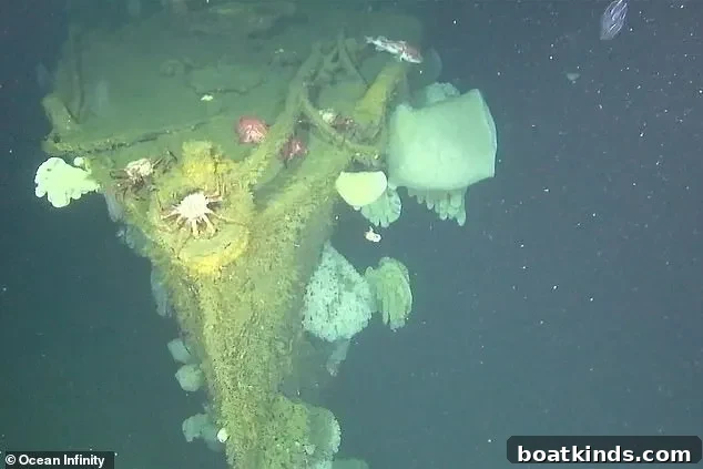 Search team prepares autonomous drones for seafloor mapping