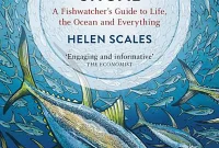 October 2020 Sea Stories: Maritime News and Features