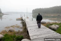 Fox in the Fog: A Mystical Forest Short Story