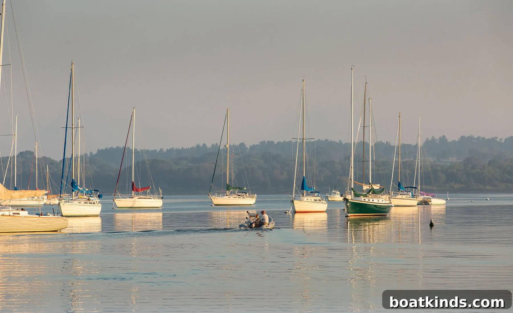 img 7281 3