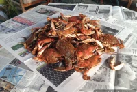 A Coastal Ode to the Blue Crab