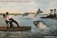 Pelagic Postcards: Dispatches from the Open Ocean