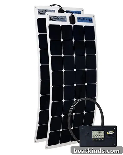 Close-up of Solar Flex monocrystalline cells