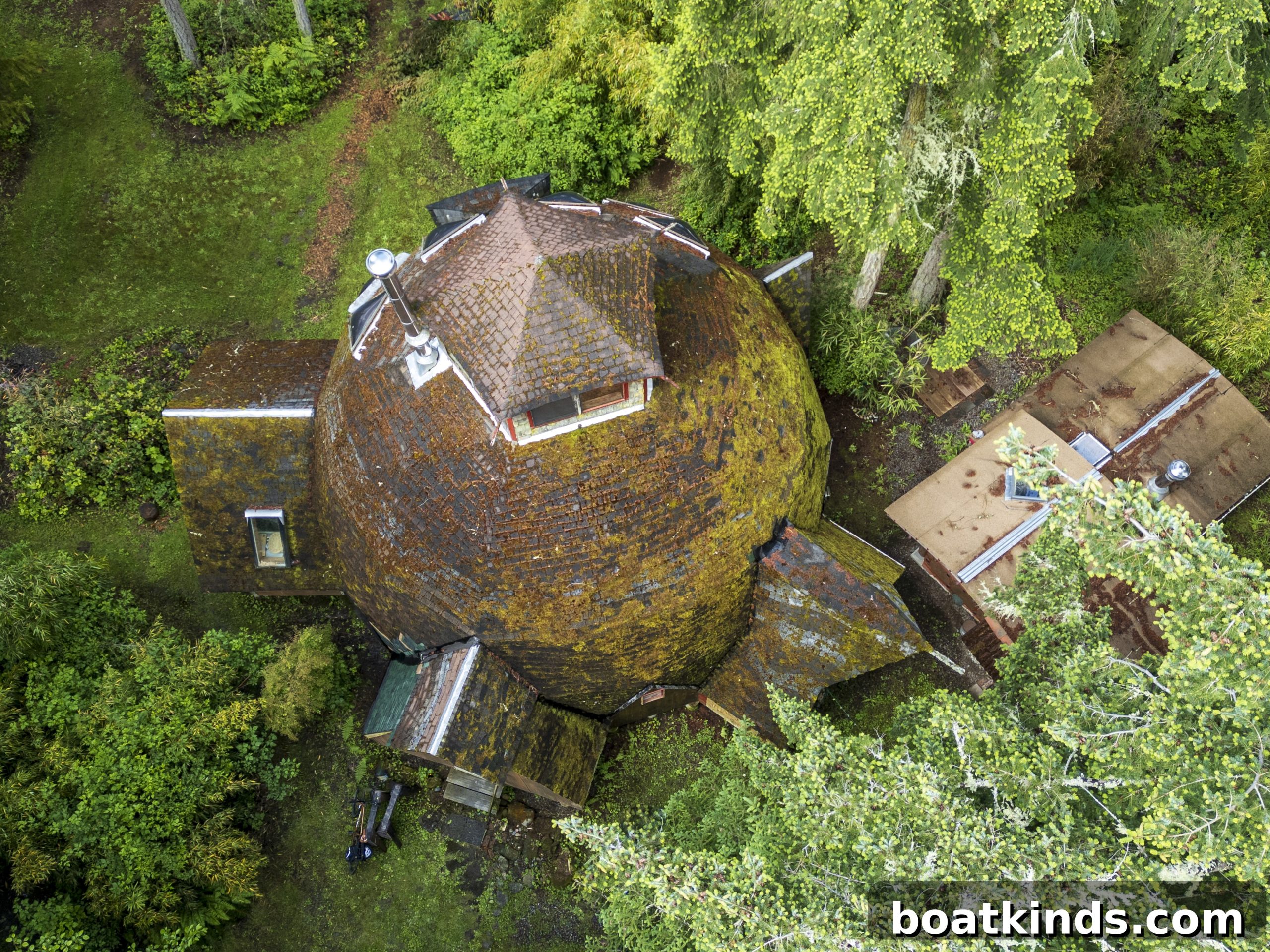 img 906 2 scaled
