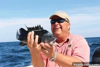 Fall Bass Fishing: Tactics, Lures, and Prime Locations