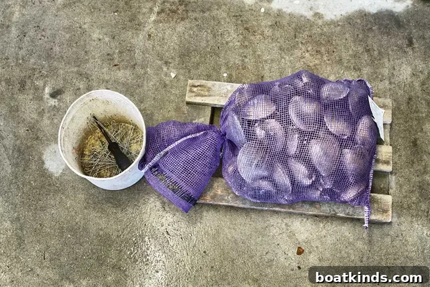 Dave Brayton sorting clams on deck